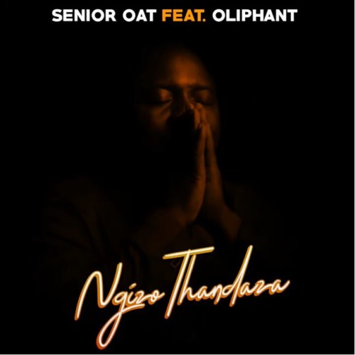 Senior Oat - Ngizo Thandaza ft. Oliphant Gold