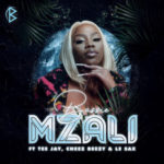 Bassie – Mzali ft. Tee Jay, Cheez Beezy & Le Sax