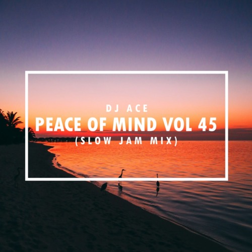 DJ Ace - Peace of Mind Vol 45 (Slow Jam Mix)
