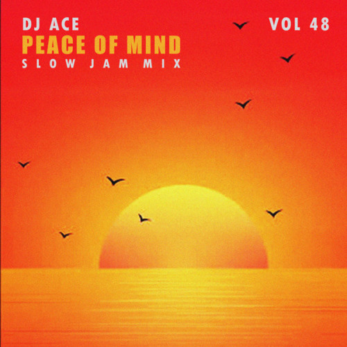 DJ Ace - Peace of Mind Vol 48 (Slow Jam Mix)