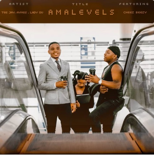 DOWNLOAD mp3: Tee Jay, Aymos & Lady Du – Amalevels (Extended) ft. Cheez  Beezy »» Fakaza