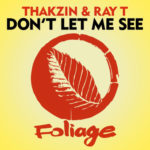 Thakzin – Don’t Let Me See ft. Ray T