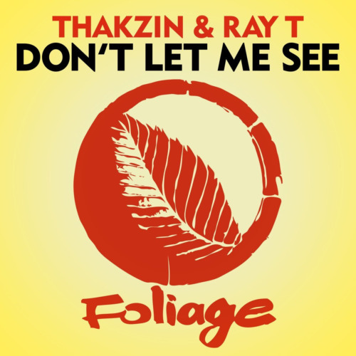Thakzin – Don’t Let Me See ft. Ray T