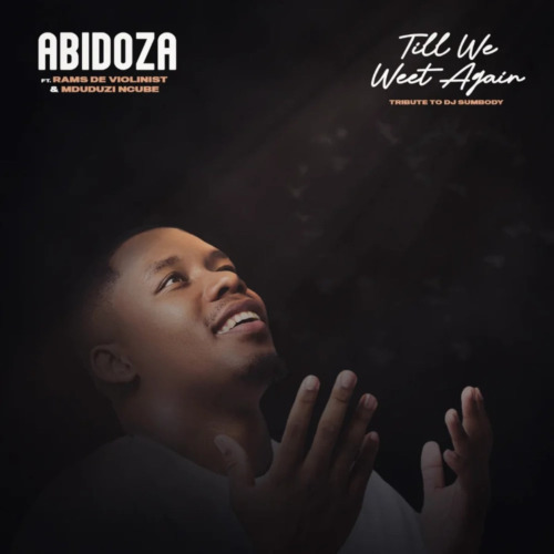 Abidoza – Till We Meet Again (Tribute to DJ Sumbody) ft. Mduduzi Ncube & Rams De Violinist