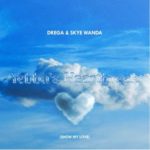 Drega & SkyeWanda – Yebba’s Heartbreak (Show My Love)