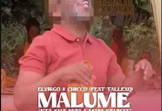 Elvirgo - Malume (Nta Swi Byela Mani Revisit) ft. Chicco & TallexQ