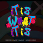 Robot Boii – ‎It Iz What It Iz ft. Mavest, MaSilver & malume.hypeman