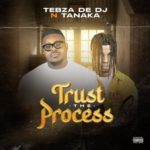 Tebza De DJ & ViRE – Trust the Process