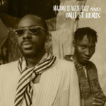 Adekunle Gold & Zinoleesky – Party No Dey Stop ft. Major League Djz & Omit ST (Remix)