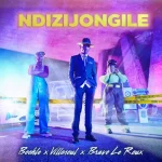 Boohle, Villosoul & Bravo Le Roux – Ndizijongile