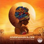 Shona SA & DJ Fresh SA – Anginamahloni ft. Sazi Cele & Sebaga