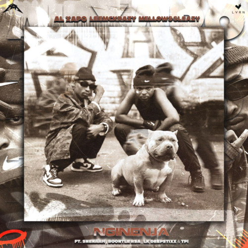 Al Xapo & Leemckrazy – Nginenja ft. Sneenah, Mellow & Sleazy, Boontle RSA & LK Deepstix