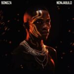 Bongza – Amaphutha ft. Mashudu, MDU a.k.a TRP & Springle