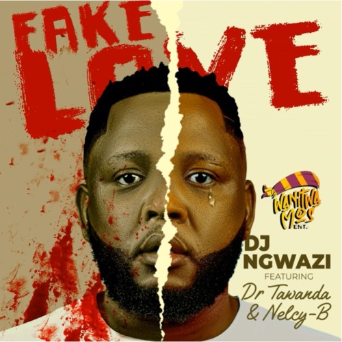 DJ Ngwazi – Fake Love ft. Dr Tawanda & Nelcy-B