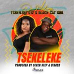 Dr Malinga – Tsekeleke ft. Tsekeleke 012 & Black Cat Girl
