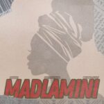 DoouShii & Scotts Maphuma – MaDlamini ft. Mellow & Sleazy