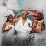 Kabza De Small , Tsitso & Masterpiece YVK – Shawara ft. Exclusive Baddies & Sly