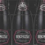 B.Nolo, Olefied Khetha & Mzulu Kakhulu – Beng’phuzile ft. Professor, T.M.A RSA & malume.hypeman