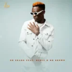 Dr Skaro – Lepotlelo ft. Memie & Mr Brown