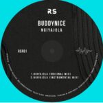 Buddynice – Ngiyajola