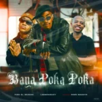 Fiso El Musica & LeeMcKrazy – Baya Poka Poka ft. Sims Makoya