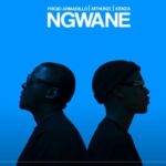Frigid Armadillo, Kenza & Mthunzi – Ngwane