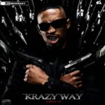 LeeMcKrazy & King P – AmaGlobe ft. Pcee, Scotts Maphuma, Mpho Spizzy & Infinity Musiq