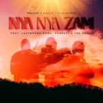 Mellow & Sleazy & Tman Xpress – Nya Nya Zam ft. Lastborn Diroba, Zambezi & The Squad