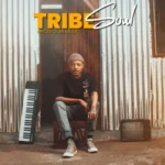 Tribesoul – Midnight Express ft. Mdu aka TRP & Tots SA