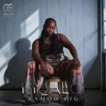 Zamoh Zig – Umaqondana ft. Mlindo The Vocalist