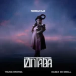 Nobuhle, Kabza De Small & Young Stunna – Izintaba