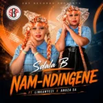 Sdala B – Nam Ndingene ft. Iinkanyezi & Anuza SA