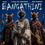 NAAK, Thami The Unknown & Sibu Manzini – Bangathini