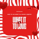 Mac To Xic Deep, DJ DIHNO & InQfive – WHAT IT IS TO LOVE EP