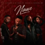 Catzico & DJ Veek – Nawe ft. Skales & Natasha MD