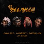 SWAAK BOYZ, Leemckrazy & Carnival King – SHEE SHEE!!! ft. Slungesh