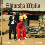 TitoM & DT.MO – Shintsha Mpilo