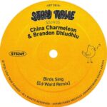 China Charmeleon, Brandon Dhludhlu & Ed-Ward – Birds Sing (Ed-Ward Remix)