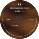 Buddynice & Nkosinathi Phakathi – I Feel You (Extended Mix)