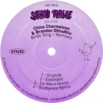 China Charmeleon, Brandon Dhludhlu & Buddynice – Birds Sing (Buddynice Remix)