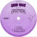 China Charmeleon & Brandon Dhludhlu – Birds Sing (Ed-Ward Remix)