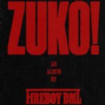 Fireboy DML, JAZZWRLD & Thukuthela – IMALI