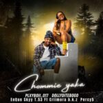 PLXYBOII_017, Dolly Ditebogo, EeQue & Skyy T.53 – Chommie yaka ft. Criimora b.k.z & Percy 5