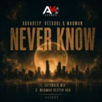 Aquadeep, Veesoul & MAQman – Never Know EP
