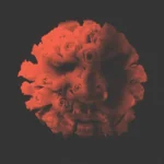 DJ Stoks – LET LOVE BLOOM EP