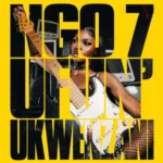 Kamo_ww & StokieNChilli – NGO7 (Ufun Ukwenzani) ft. Springle