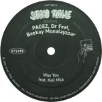 PAGEZ, Dr Feel & Beekay Monalayzzar – Was You ft. Kali Mija
