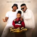 Tebza De DJ, DJ Nomza The King & Lil Mash – Tamati Soso